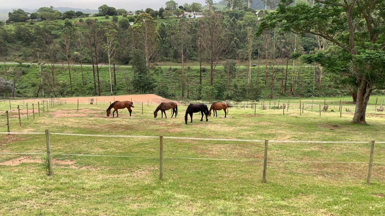 Cavalo Guesthouse & Equestrian Estate Drummond Exterior foto