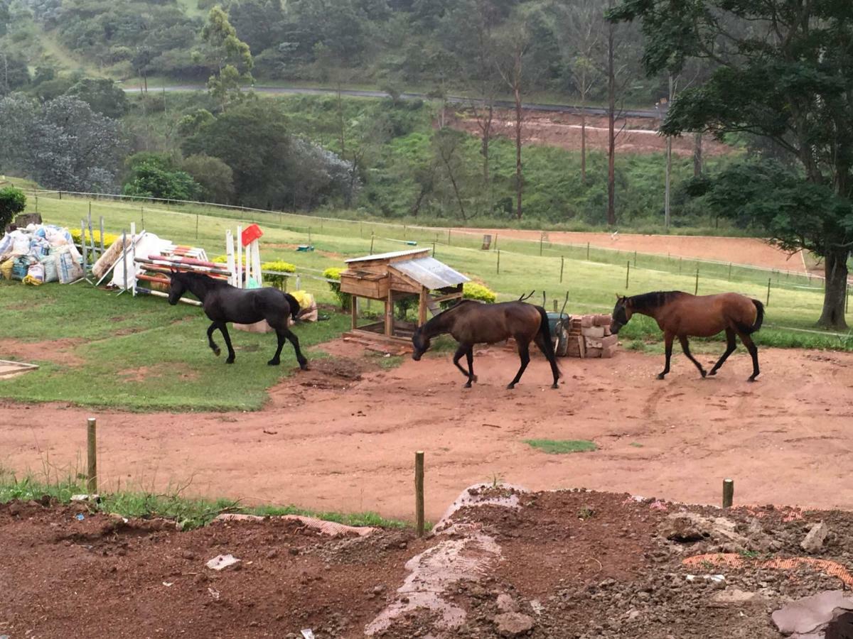 Cavalo Guesthouse & Equestrian Estate Drummond Exterior foto